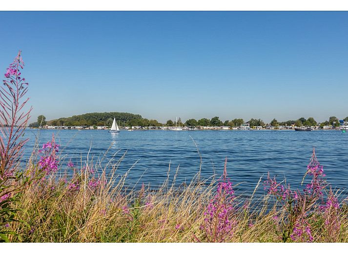 Guest house 642067 - Holiday property Zuid-Beveland - Inlaag 31