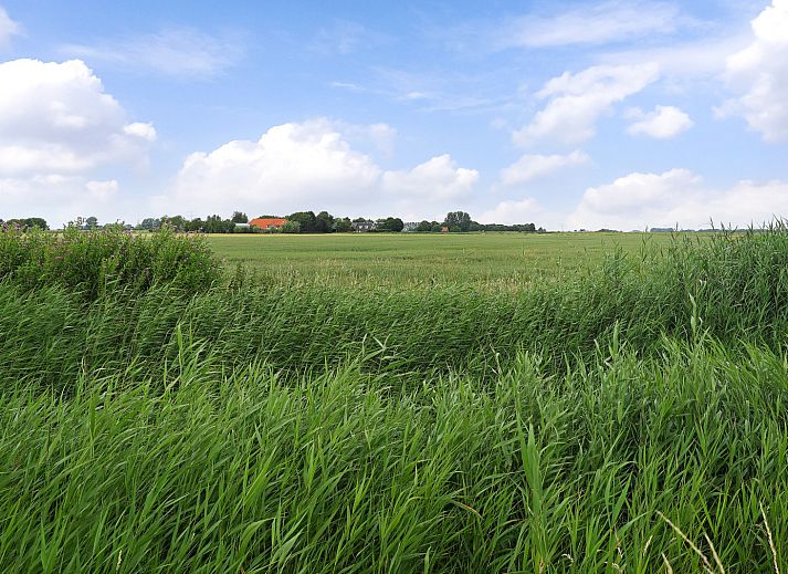 Stilvolles Esszimmer im Ferienhaus ZE1420, Nieuwdorp, Zuid-Beveland, ideal fuer gemuetliche Mahlzeiten in Zeeland.