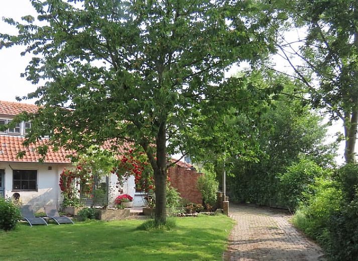 Verblijf 642401 • Vakantiewoning Zuid-Beveland • Vakantiehuisje in 's Heer Arendskerke