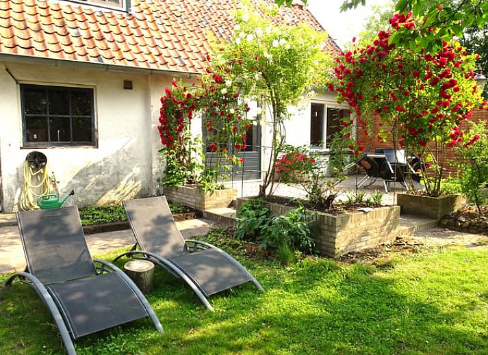 Unterkunft 642401 - Ferienhaus Zuid-Beveland - Vakantiehuisje in 's Heer Arendskerke