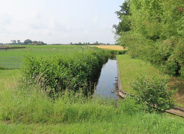 Unterkunft 642401 - Ferienhaus Zuid-Beveland - Vakantiehuisje in 's Heer Arendskerke