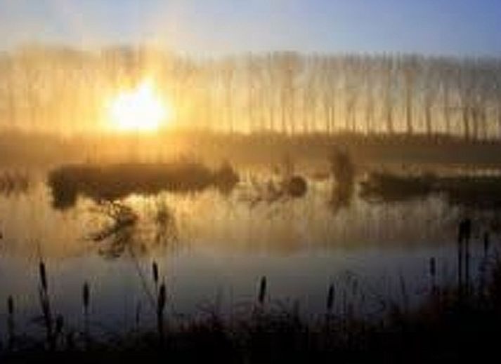 Unterkunft 642502 - Appartement Zuid-Beveland - Appartement Wohnung met terras