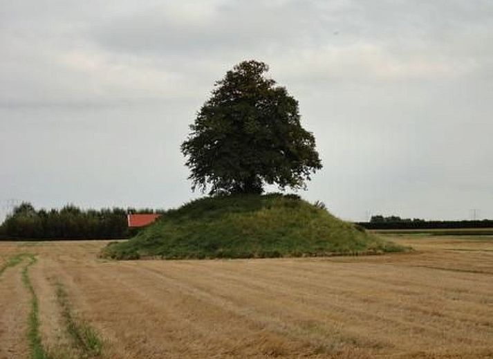 Unterkunft 642502 - Appartement Zuid-Beveland - Appartement Wohnung met terras