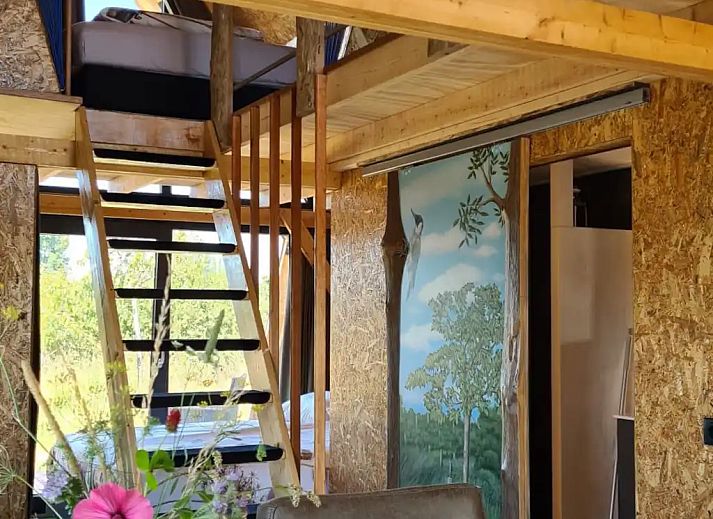 Verblijf 642503 - Vakantiewoning Zuid-Beveland - Vakantiehuisje de Groene Specht