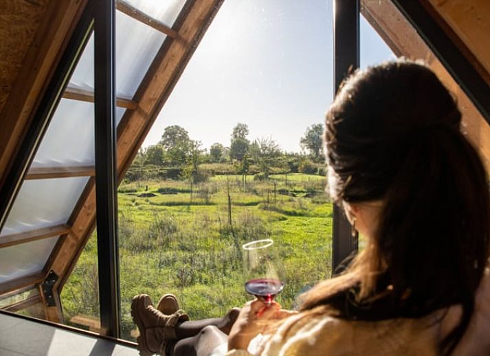 Guest house 642705 - Holiday property Zuid-Beveland - Huisje in Kwadendamme