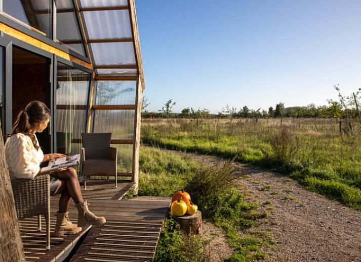 Guest house 642705 - Holiday property Zuid-Beveland - Huisje in Kwadendamme