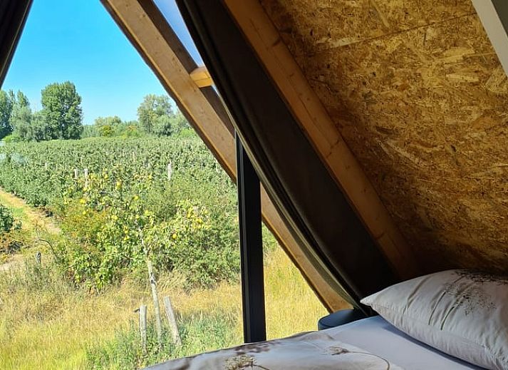 Guest house 642705 - Holiday property Zuid-Beveland - Huisje in Kwadendamme