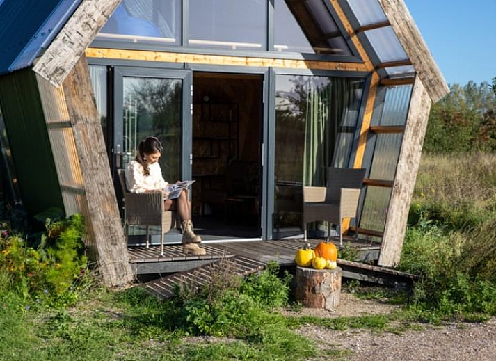 Guest house 642705 - Holiday property Zuid-Beveland - Huisje in Kwadendamme