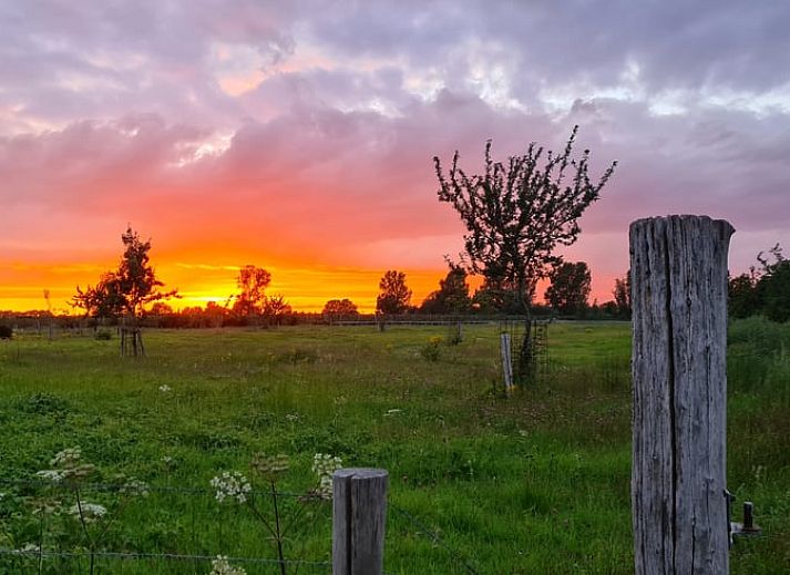 Guest house 642705 - Holiday property Zuid-Beveland - Huisje in Kwadendamme