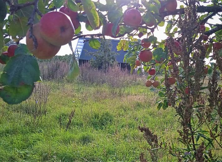 Guest house 642705 - Holiday property Zuid-Beveland - Huisje in Kwadendamme