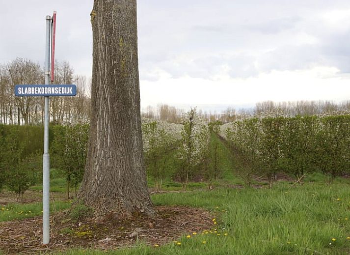 Unterkunft 642708 - Ferienhaus Zuid-Beveland - Huisje in Kwadendamme