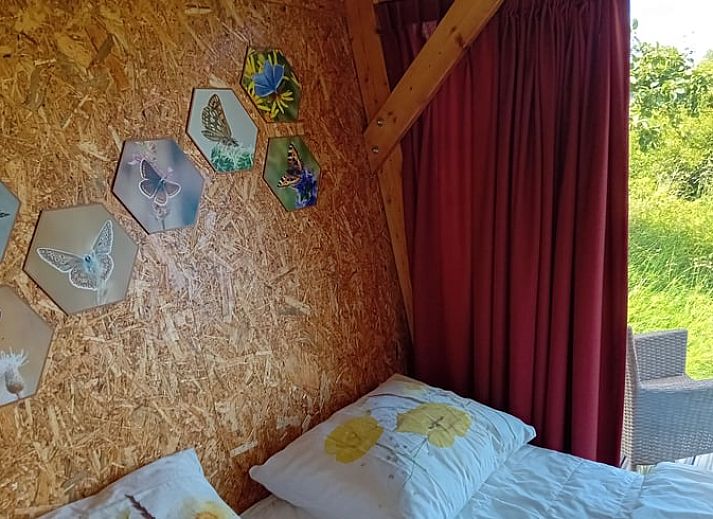 Guest house 642709 - Holiday property Zuid-Beveland - Vakantiehuis in Kwadendamme