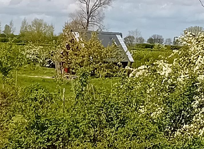 Guest house 642709 - Holiday property Zuid-Beveland - Vakantiehuis in Kwadendamme