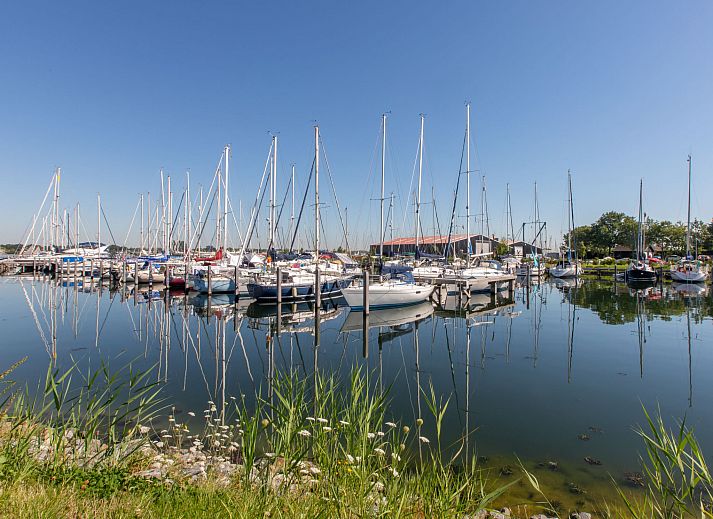 Schoene Aussicht auf den Strand beim Ferienhaus Haus Anni in Hansweert, Zuid-Beveland, Zeeland.