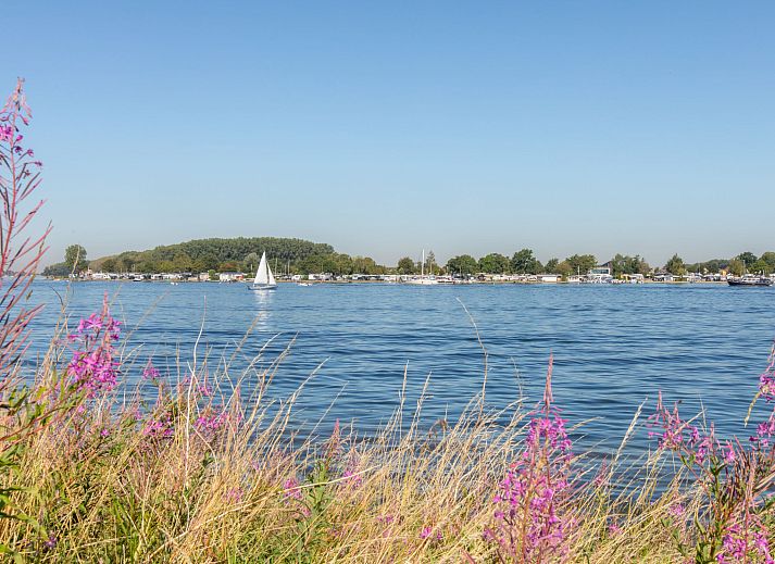Ueberdachte Veranda mit bequemen Sitzgelegenheiten im Ferienhaus Haus Anni in Hansweert, Zuid-Beveland.