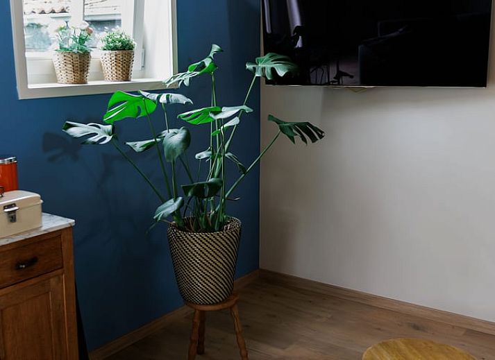 Charmante hoek van de eetkamer in Vakantiehuis in Lewedorp, Zuid-Beveland met Delfts blauw servies.