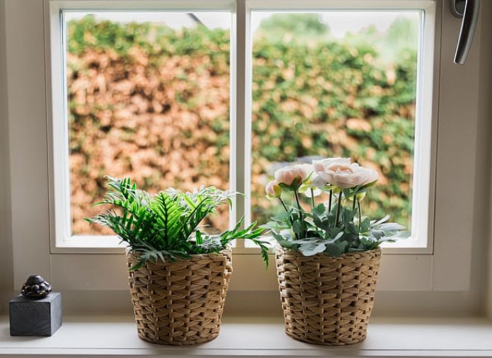Buitenkant van Vakantiehuis in Lewedorp, Zuid-Beveland omgeven door groen en blauwe lucht.