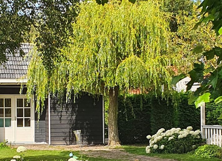 Unterkunft 642904 - Ferienhaus Zuid-Beveland - Vakantiehuisje in Lewedorp