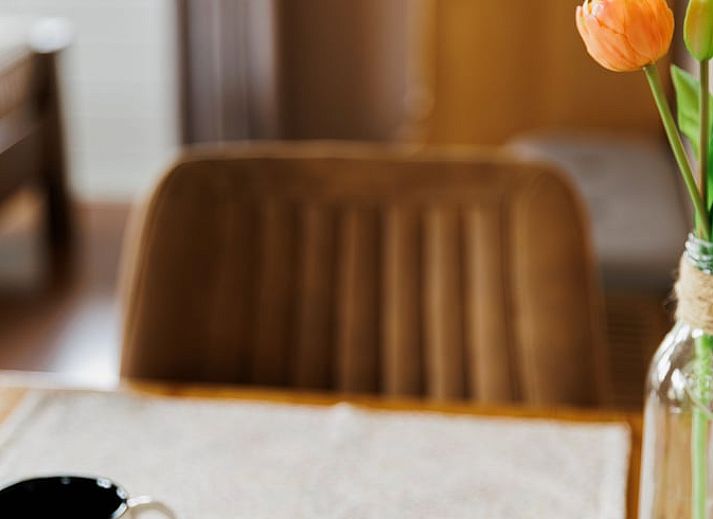 Unterkunft 642904 - Ferienhaus Zuid-Beveland - Vakantiehuisje in Lewedorp