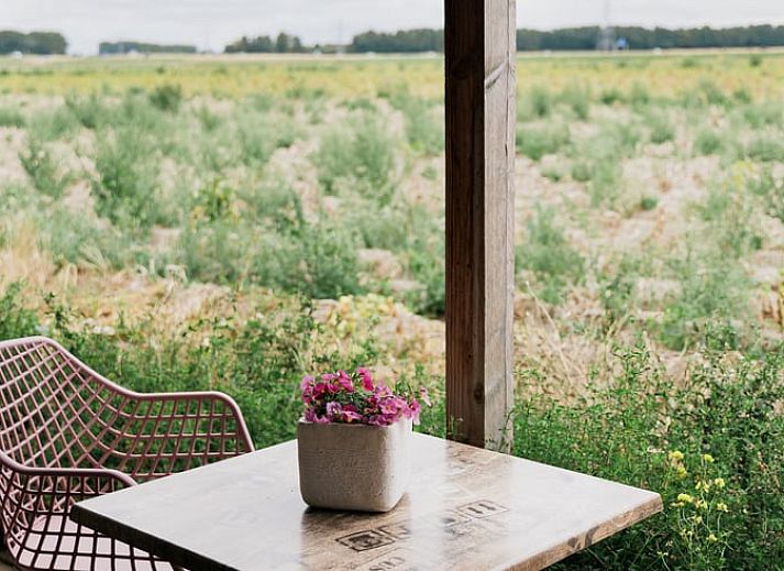 Unterkunft 642904 - Ferienhaus Zuid-Beveland - Vakantiehuisje in Lewedorp