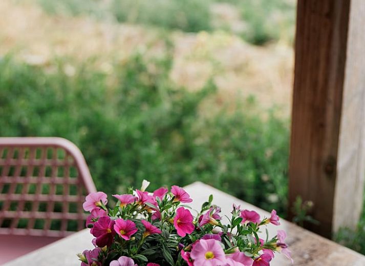 Unterkunft 642904 - Ferienhaus Zuid-Beveland - Vakantiehuisje in Lewedorp