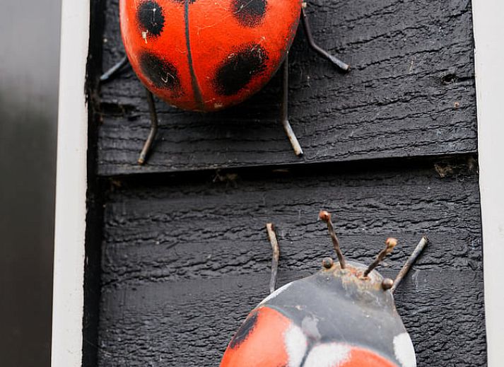 Unterkunft 642904 - Ferienhaus Zuid-Beveland - Vakantiehuisje in Lewedorp