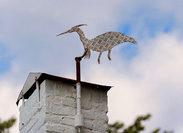 Uitzicht op groene velden rondom Vakantiehuisje in Lewedorp, Zuid-Beveland, Zeeland, met bomen en weidse natuur in de omgeving.
