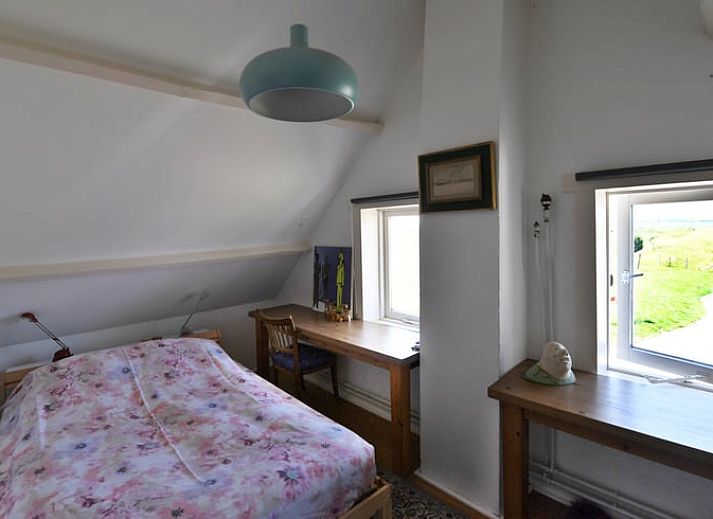 Uitzicht op groene velden rondom Vakantiehuisje in Lewedorp, Zuid-Beveland, Zeeland, met bomen en weidse natuur in de omgeving.