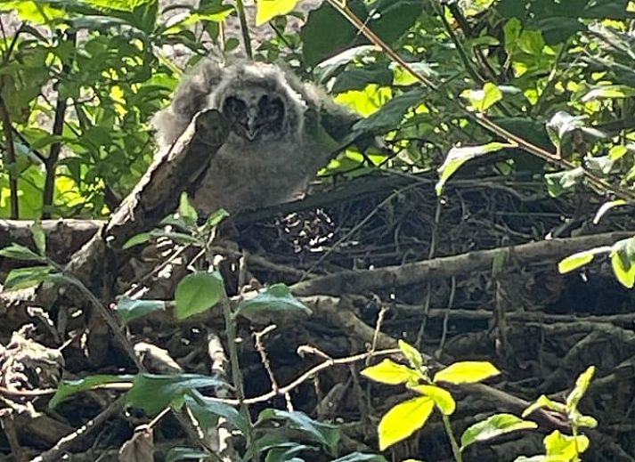 Gezellige woonkamer van Vakantiehuisje in Lewedorp, Zuid-Beveland, met uitzicht op de natuur en comfortabele zitruimte.