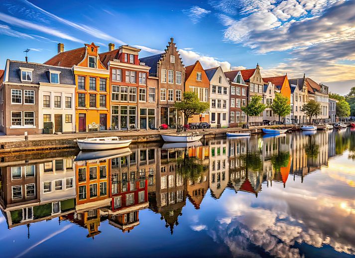 Geniessen Sie die Natur im Ferienhaus ZH487 in Goudriaan, Suedholland, mit bunten Voegeln in der gruenen Umgebung von Alblasserwaard.