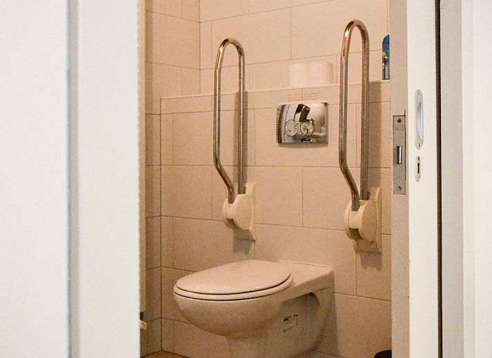 Geniessen Sie die Natur im Ferienhaus ZH487 in Goudriaan, Suedholland, mit bunten Voegeln in der gruenen Umgebung von Alblasserwaard.