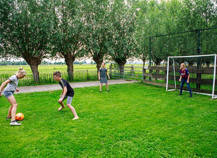 Geniessen Sie die Natur im Ferienhaus ZH487 in Goudriaan, Suedholland, mit bunten Voegeln in der gruenen Umgebung von Alblasserwaard.