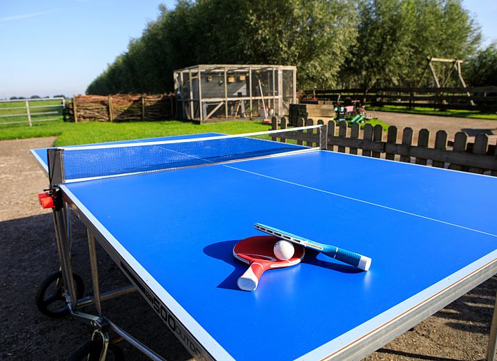 Entdecken Sie den farbenfrohen Blumengarten des Ferienhauses ZH487 in Goudriaan, Alblasserwaard, Suedholland, umgeben von ruhiger Natur.