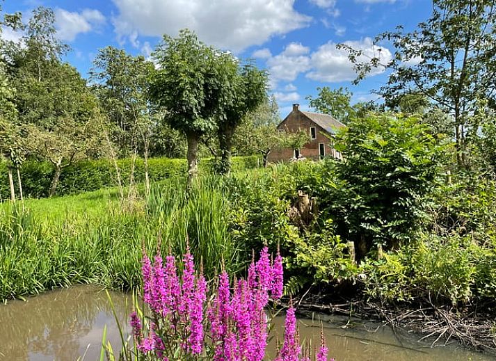 Guest house 650902 • Holiday property Alblasserwaard • Huisje in Brandwijk