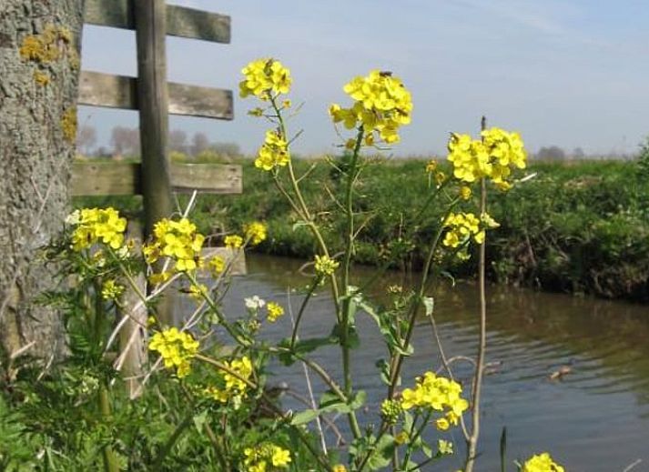 Essecke im Cottage in Brandwijk, Brandwijk, mit schoenem Blick auf den Fluss und die Natur.