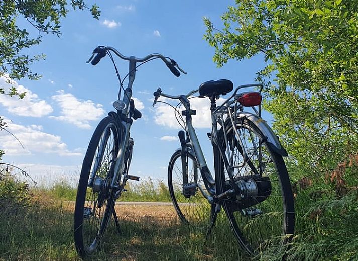 Traditionelles Ferienhaus in der Naehe der Muehle in Brandwijk, Alblasserwaard, ideal fuer einen erholsamen Urlaub.
