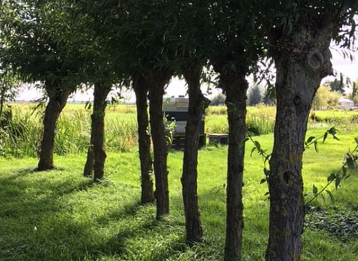 Stijlvolle zithoek in Huisje in Stolwijk, vakantieaccommodatie in Zuid-Holland met klassieke meubels.