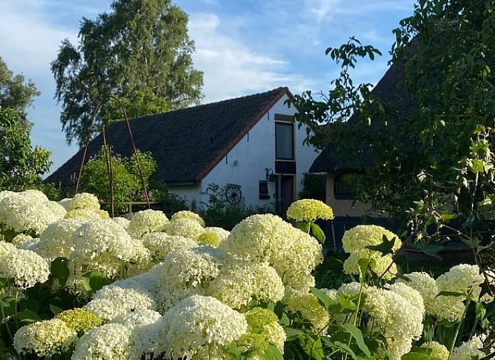 Relax by the water at Huisje in Stolwijk, vacation home in Alblasserwaard, South Holland.