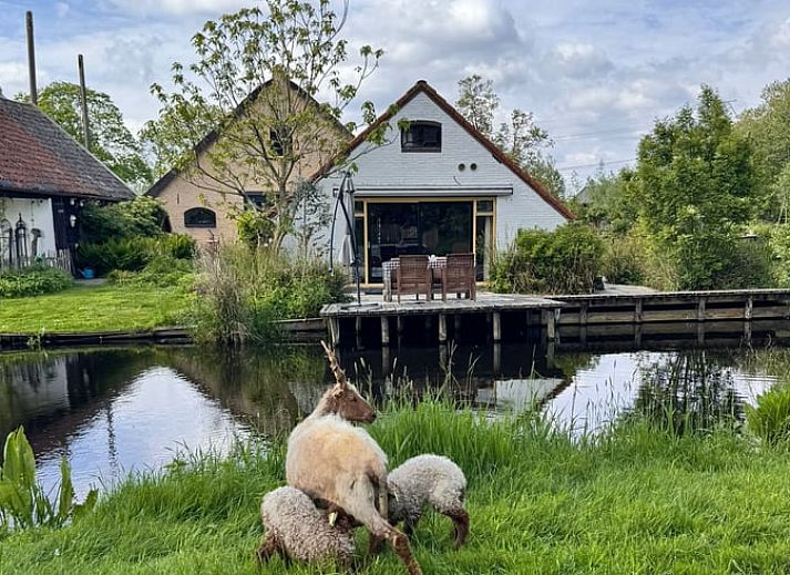Relax by the water at Huisje in Stolwijk, vacation home in Alblasserwaard, South Holland.