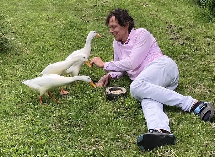 Beautiful sunset at Cottage in Stolwijk, vacation home in Alblasserwaard, South Holland.