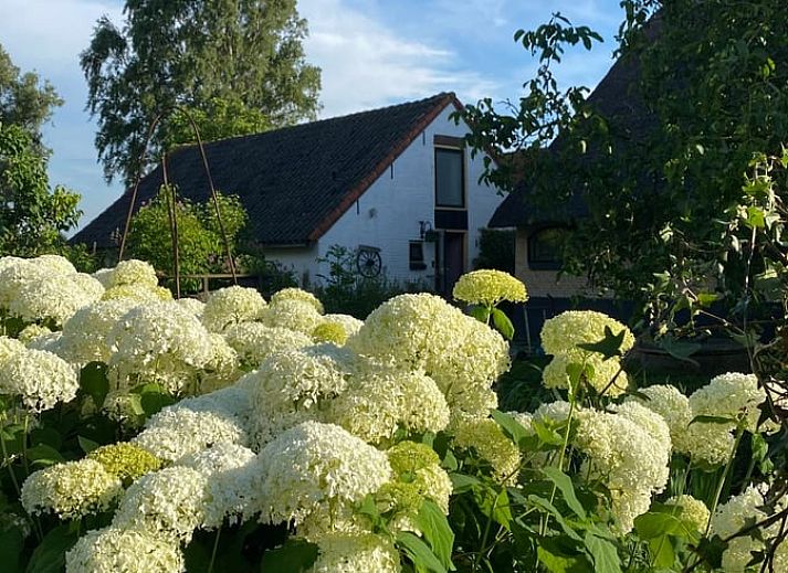 Verblijf 651608 - Vakantiewoning Alblasserwaard - Vakantiehuis in Stolwijk