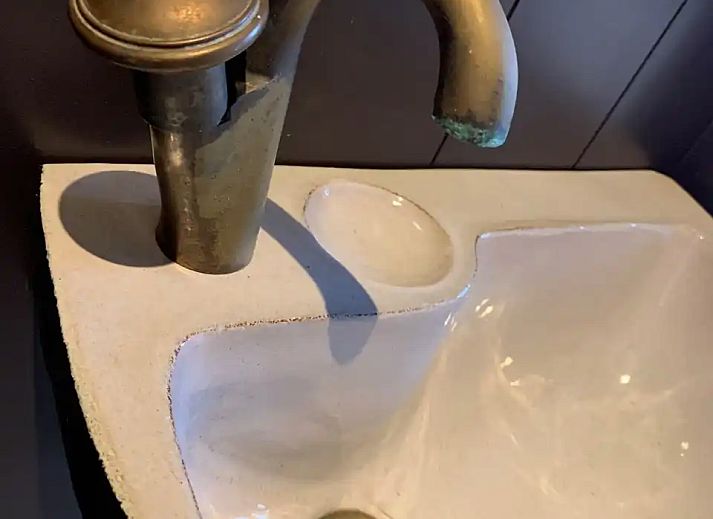 Verblijf 651703 - Vakantiewoning Alblasserwaard - Rustig huis in prachtig landschap