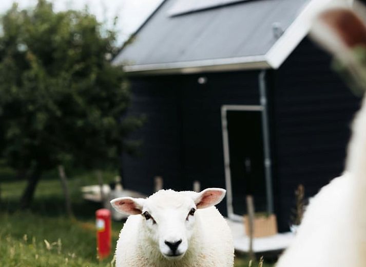 Kitchen and staircase upstairs in Holiday home in Langerak, South Holland, with sleek finish.