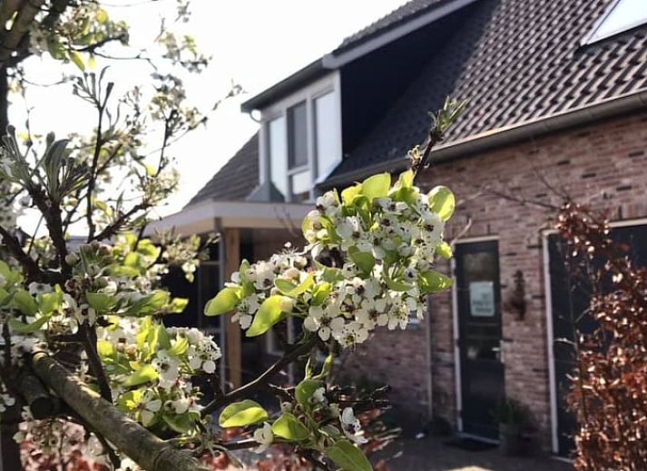 Unterkunft 651901 - Ferienhaus Alblasserwaard - Vakantiehuis in Hoornaar