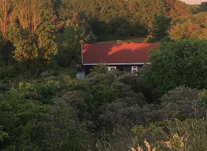 Vakantiehuis in Ouddorp, Goeree-Overflakkee met grasveld en duinen in Zuid-Holland.