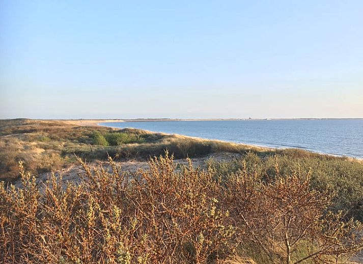 Vakantiehuis in Ouddorp, Goeree-Overflakkee met grasveld en duinen in Zuid-Holland.