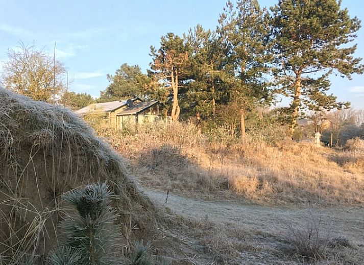Strand en zee bij Vakantiehuis in Ouddorp, Goeree-Overflakkee, Zuid-Holland.