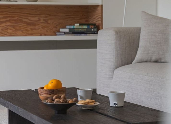 Gemuetliches Wohnzimmer mit Holzofen im Ferienhaus in Ouddorp, Suedholland, ideal zum Entspannen und Geniessen der Aussicht auf die Natur.