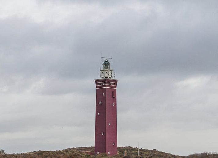 Ferienhaus in Ouddorp, eine moderne Ferienunterkunft inmitten der Natur auf Goeree-Overflakkee, Suedholland, mit grossem Garten und Holzfassade.