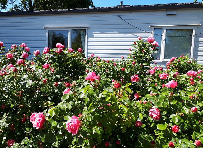 Relax in the quiet sandy garden of Chalet Sunrise in Ouddorp, Zeeland, with comfortable chairs and surrounding nature.